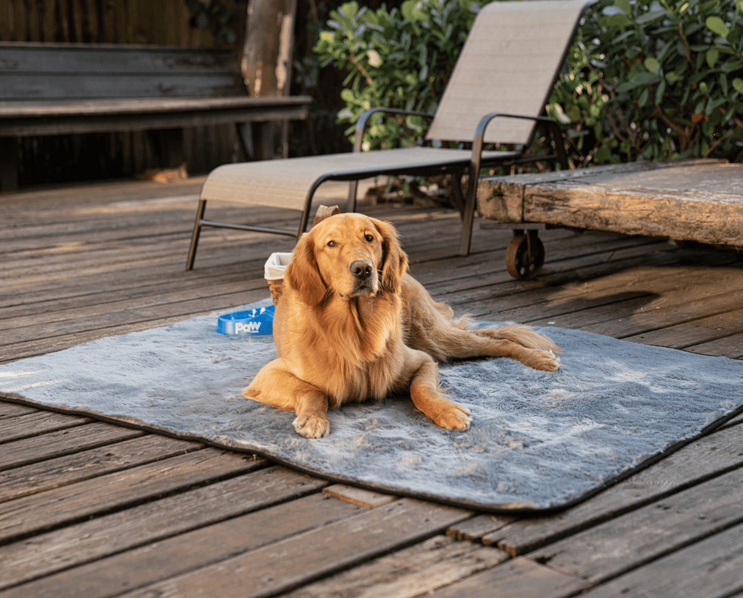 PupProtector™ Short Fur Waterproof Throw Blanket - Charcoal Grey - Angler's Pro Tackle & Outdoors