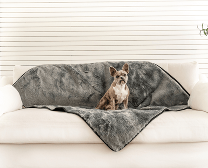 PupProtector™ Short Fur Waterproof Throw Blanket - Charcoal Grey - Angler's Pro Tackle & Outdoors