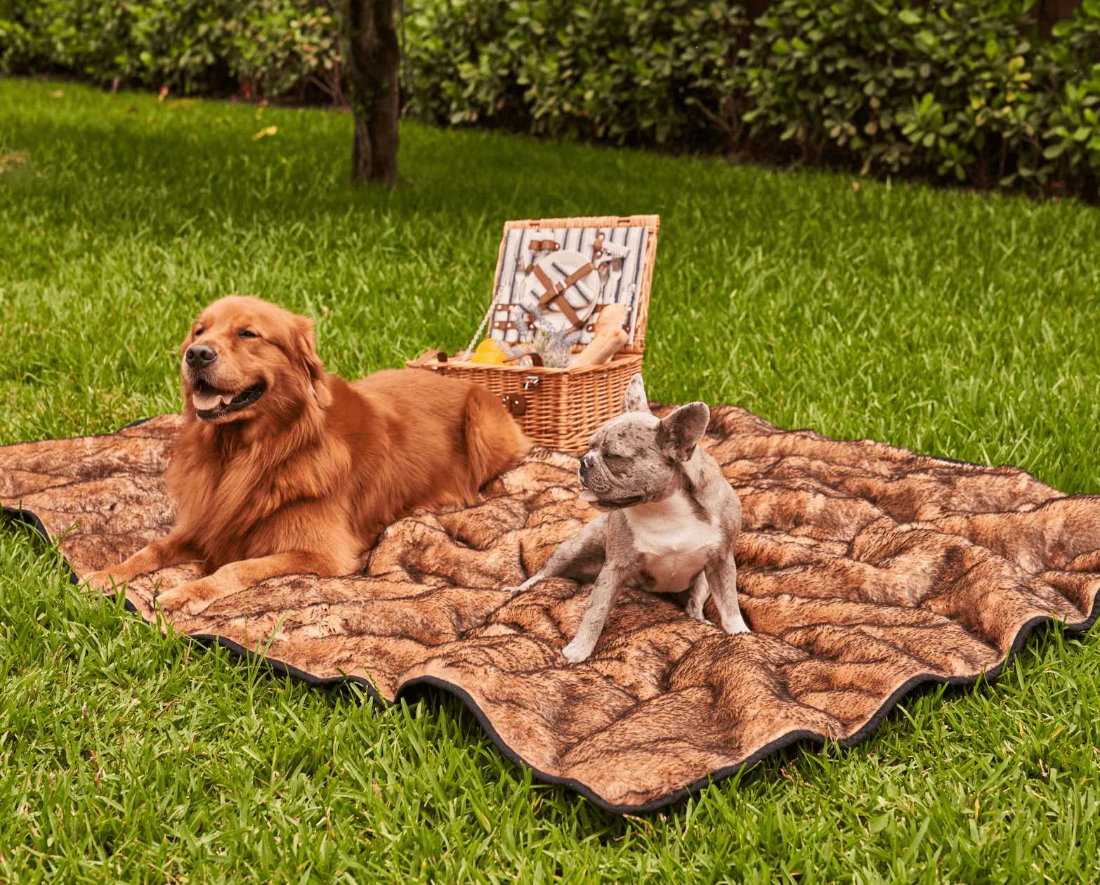 PupProtector™ Short Fur Waterproof Throw Blanket - Sable Tan - Angler's Pro Tackle & Outdoors