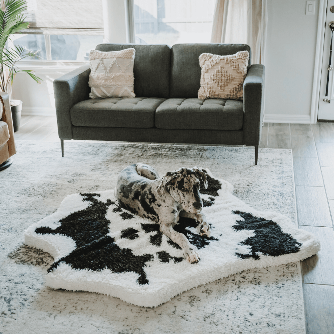 PupRug™ Animal Print Memory Foam Dog Bed - Black Faux Cowhide - Angler's Pro Tackle & Outdoors