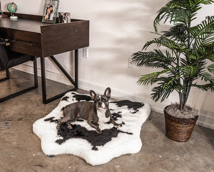 PupRug™ Animal Print Memory Foam Dog Bed - Black Faux Cowhide - Angler's Pro Tackle & Outdoors