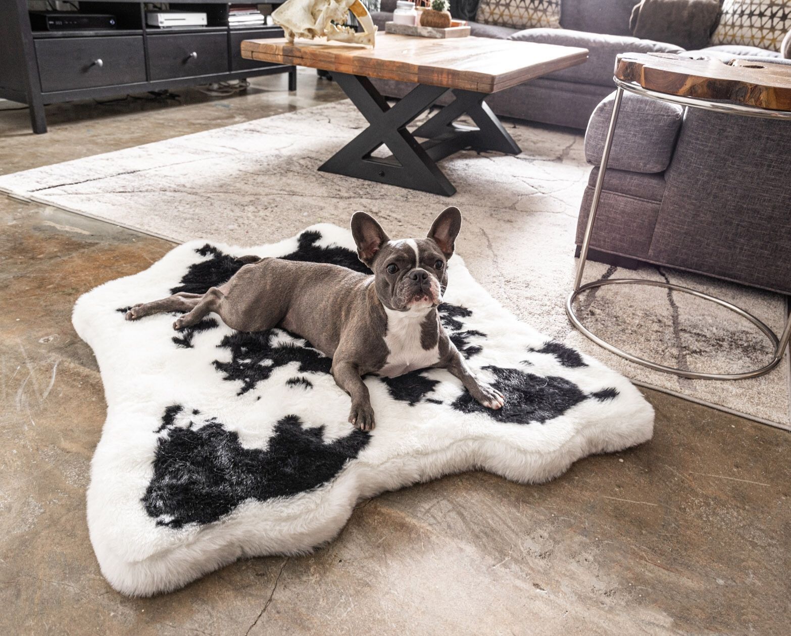 PupRug™ Animal Print Memory Foam Dog Bed - Black Faux Cowhide - Angler's Pro Tackle & Outdoors