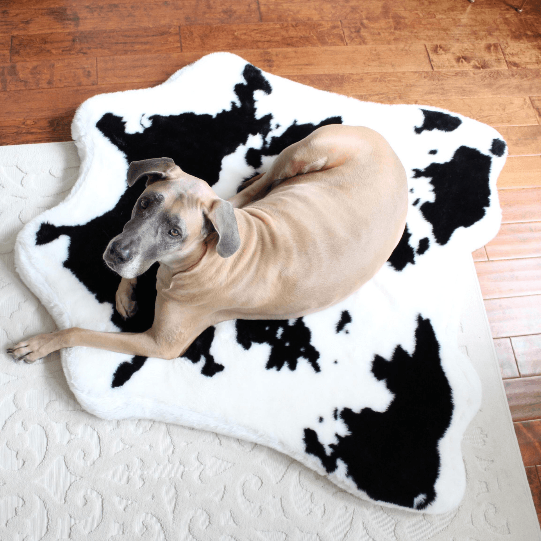 PupRug™ Animal Print Memory Foam Dog Bed - Black Faux Cowhide - Angler's Pro Tackle & Outdoors