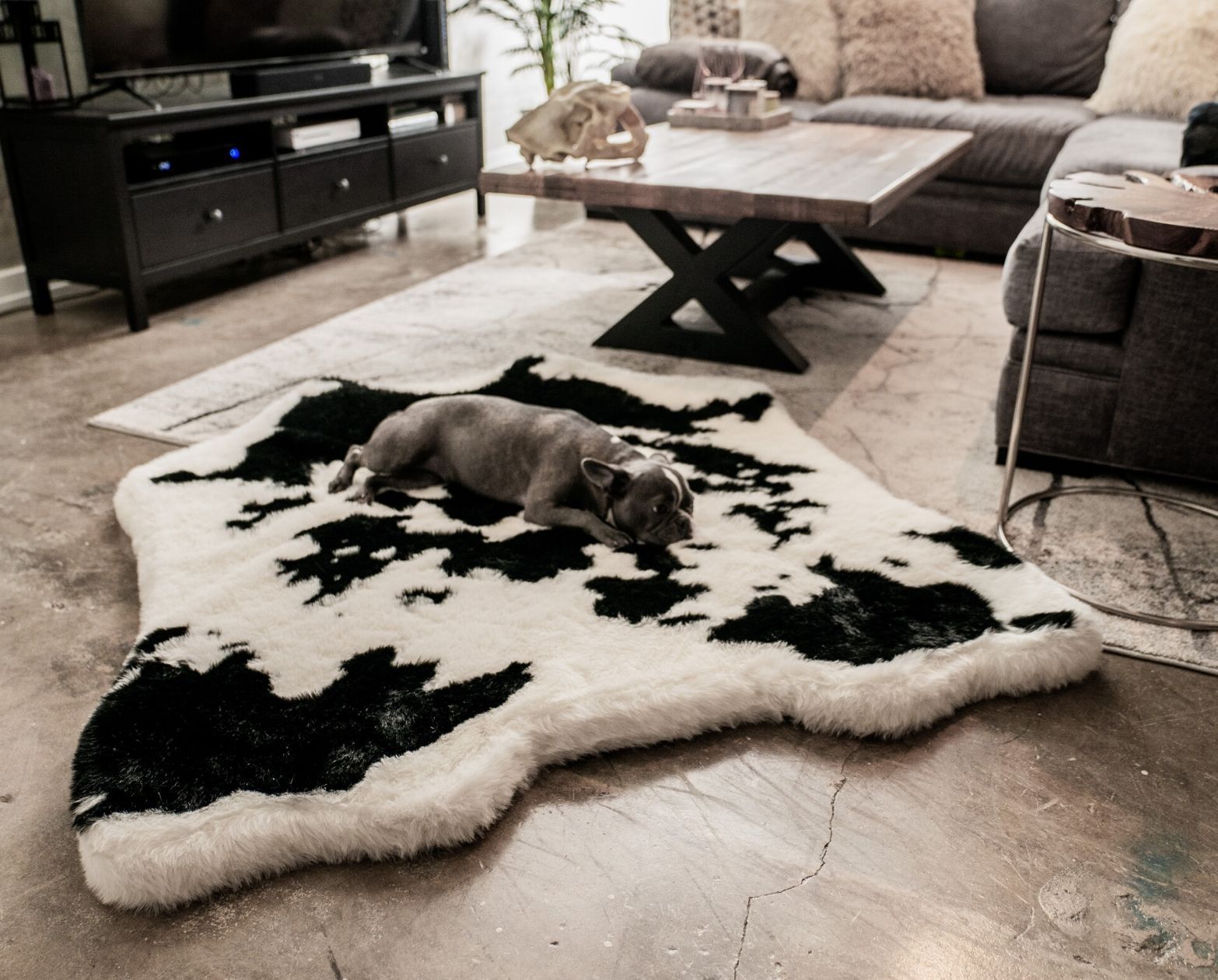 PupRug™ Animal Print Memory Foam Dog Bed - Black Faux Cowhide - Angler's Pro Tackle & Outdoors