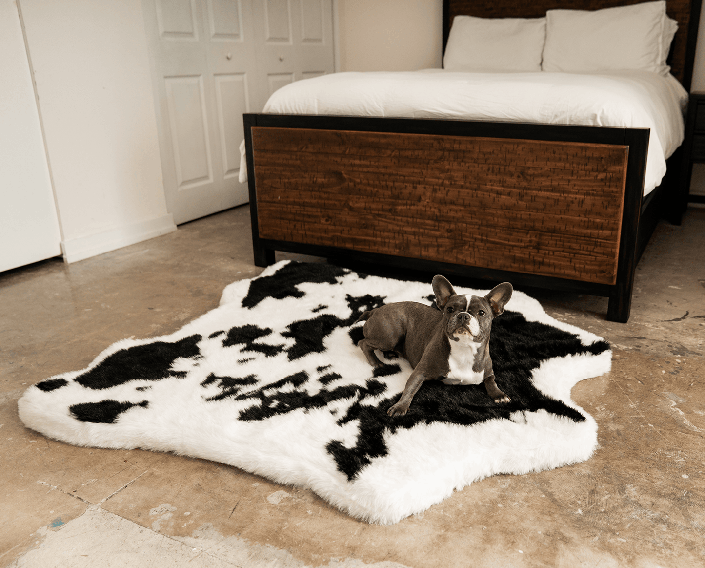 PupRug™ Animal Print Memory Foam Dog Bed - Black Faux Cowhide - Angler's Pro Tackle & Outdoors