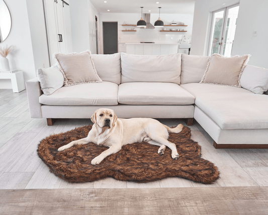 PupRug by Paw.com™ Faux Fur Orthopedic Dog Bed - Curve Brown - Angler's Pro Tackle & Outdoors