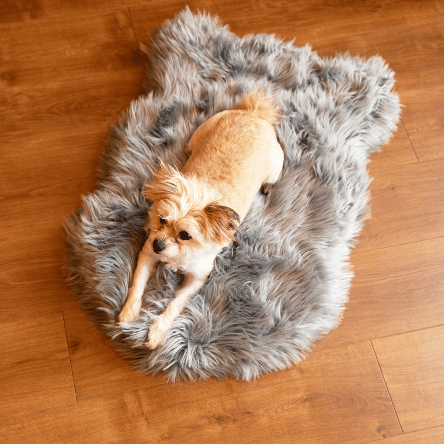 PupRug by Paw.com™ Faux Fur Orthopedic Dog Bed - Curve Charcoal Grey - Angler's Pro Tackle & Outdoors