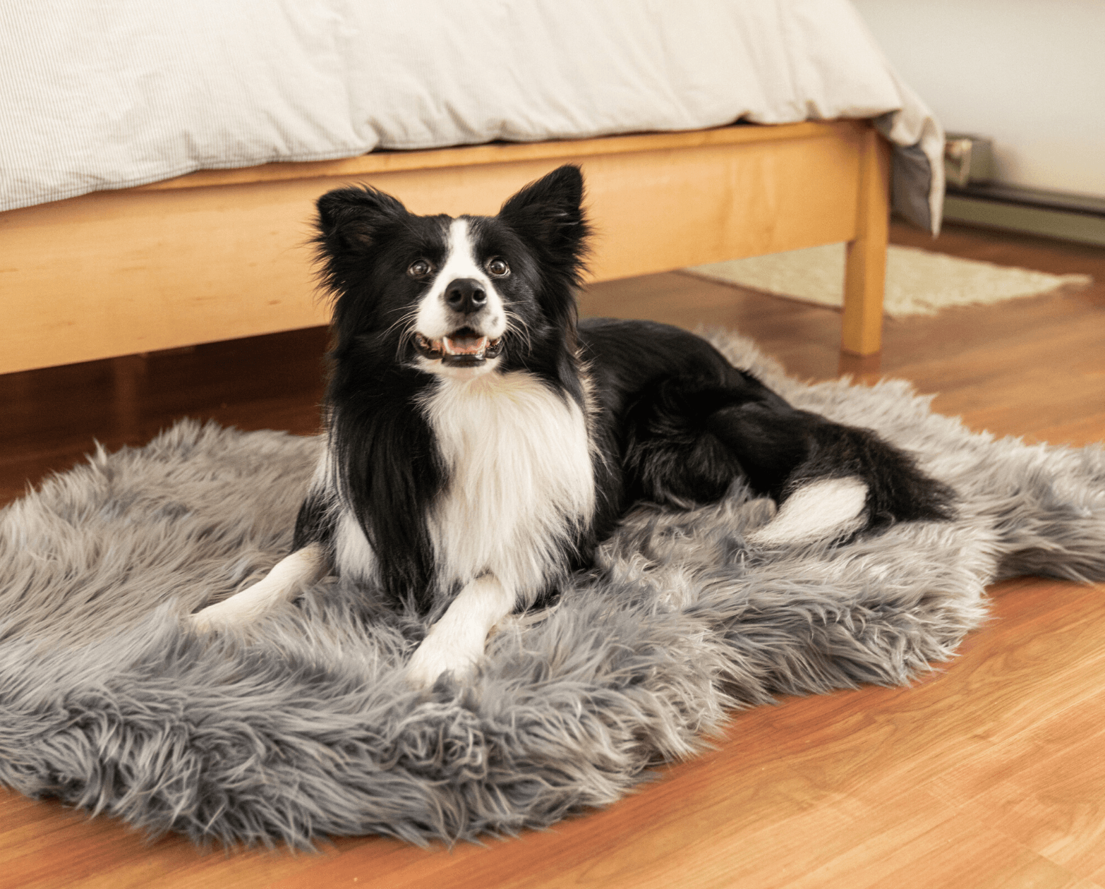 PupRug by Paw.com™ Faux Fur Orthopedic Dog Bed - Curve Charcoal Grey - Angler's Pro Tackle & Outdoors