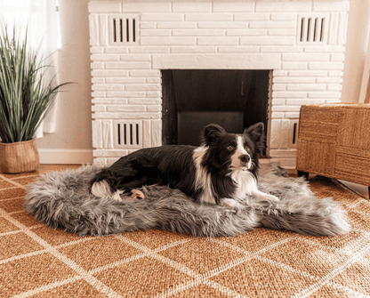 PupRug by Paw.com™ Faux Fur Orthopedic Dog Bed - Curve Charcoal Grey - Angler's Pro Tackle & Outdoors