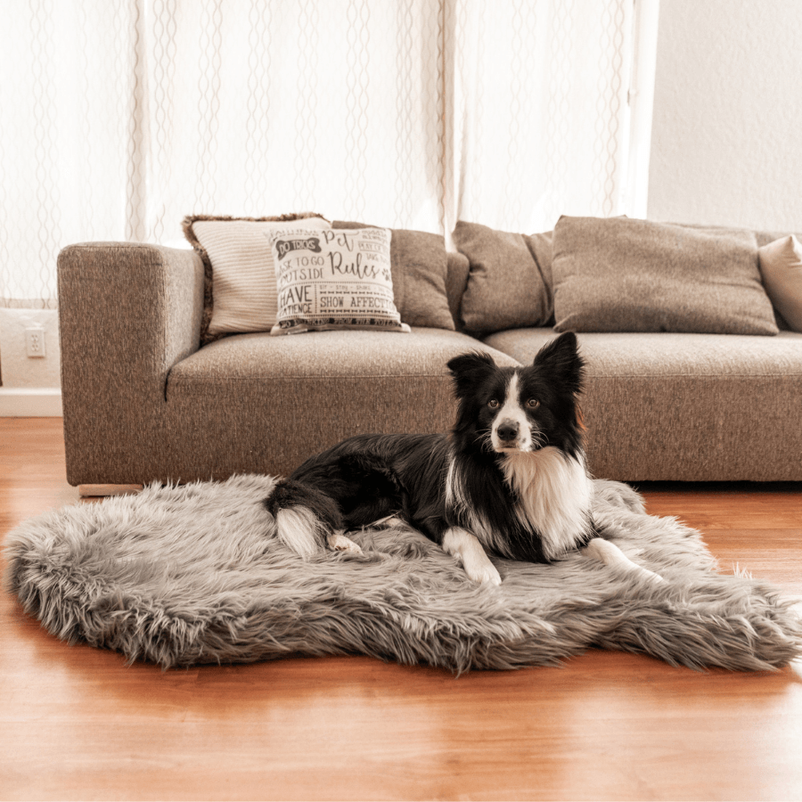 PupRug by Paw.com™ Faux Fur Orthopedic Dog Bed - Curve Charcoal Grey - Angler's Pro Tackle & Outdoors