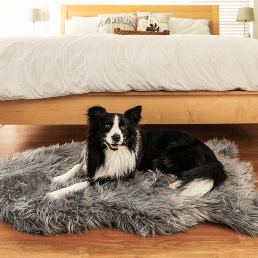 PupRug by Paw.com™ Faux Fur Orthopedic Dog Bed - Curve Charcoal Grey - Angler's Pro Tackle & Outdoors