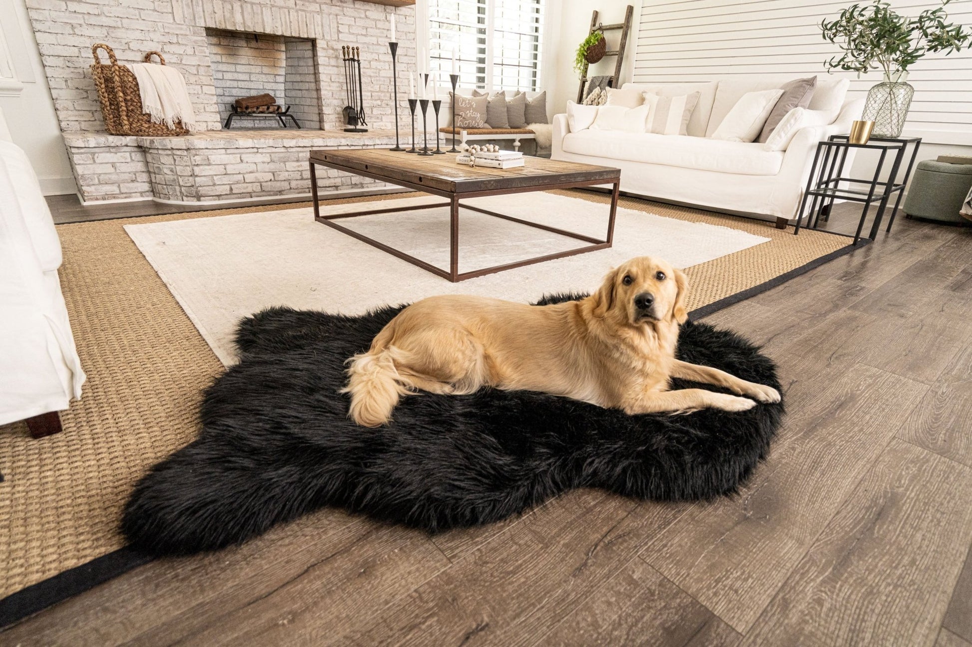 PupRug by Paw.com™ Faux Fur Orthopedic Dog Bed - Curve Midnight Black - Angler's Pro Tackle & Outdoors