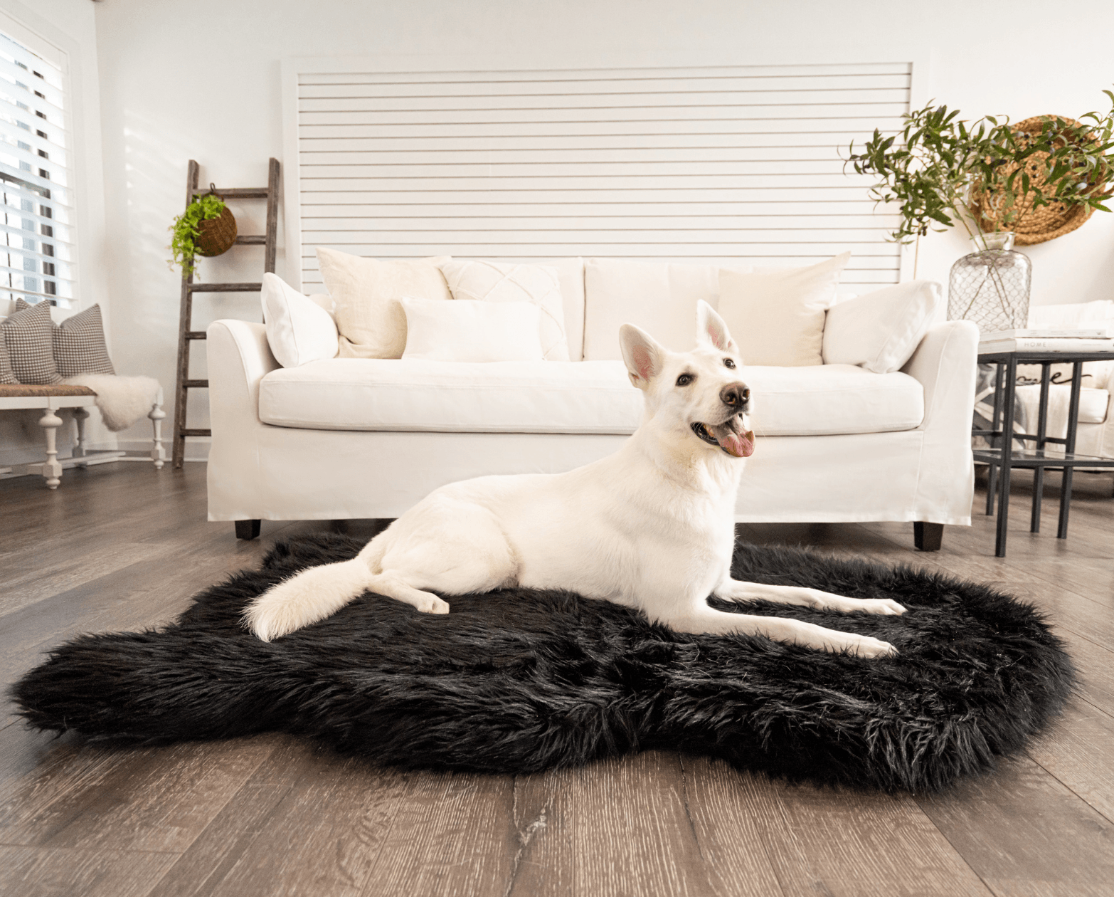 PupRug by Paw.com™ Faux Fur Orthopedic Dog Bed - Curve Midnight Black - Angler's Pro Tackle & Outdoors