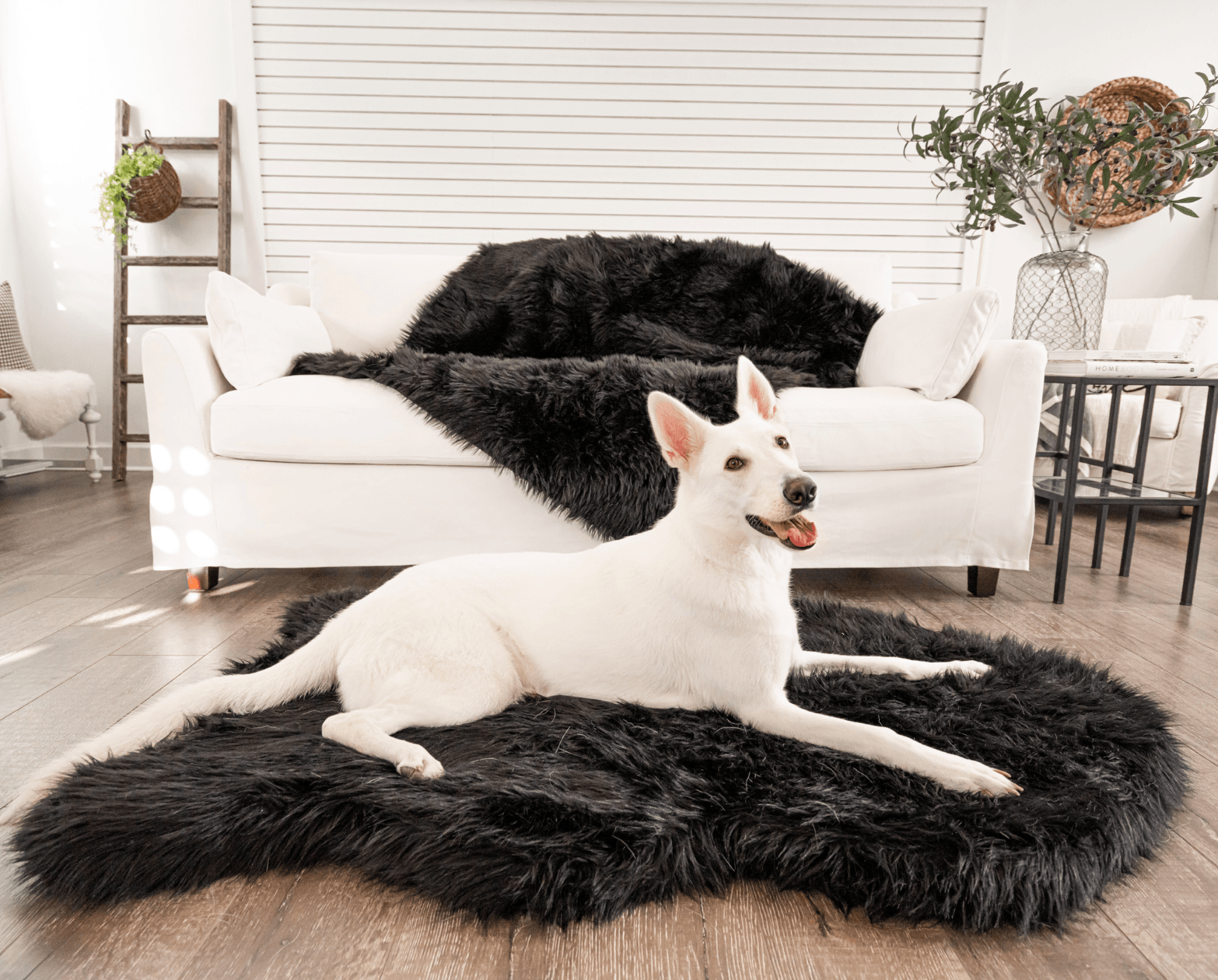 PupRug by Paw.com™ Faux Fur Orthopedic Dog Bed - Curve Midnight Black - Angler's Pro Tackle & Outdoors