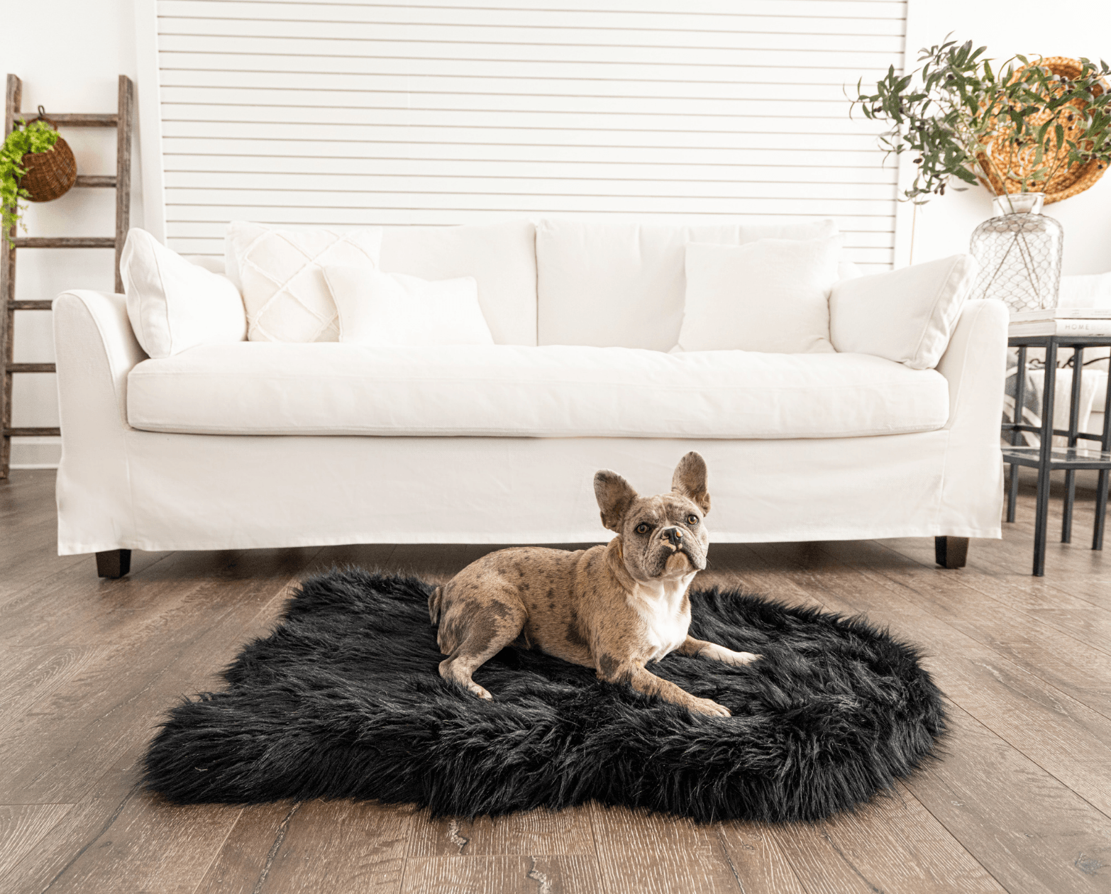 PupRug by Paw.com™ Faux Fur Orthopedic Dog Bed - Curve Midnight Black - Angler's Pro Tackle & Outdoors