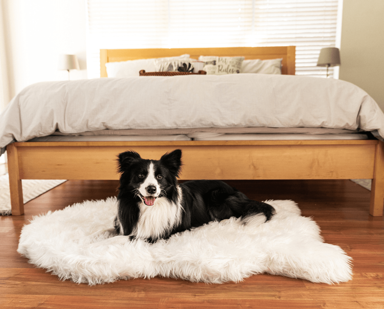 PupRug by Paw.com™ Faux Fur Orthopedic Dog Bed - Curve Polar White - Angler's Pro Tackle & Outdoors