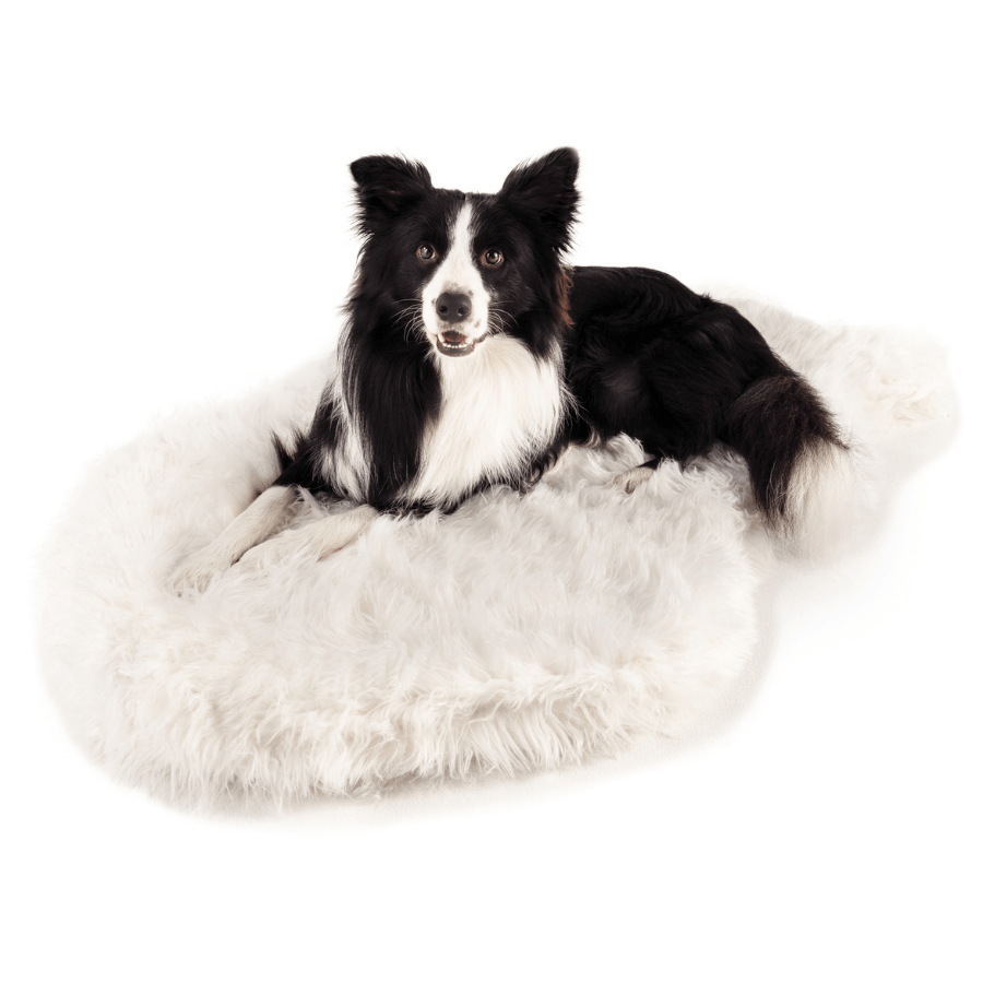 PupRug by Paw.com™ Faux Fur Orthopedic Dog Bed - Curve Polar White - Angler's Pro Tackle & Outdoors