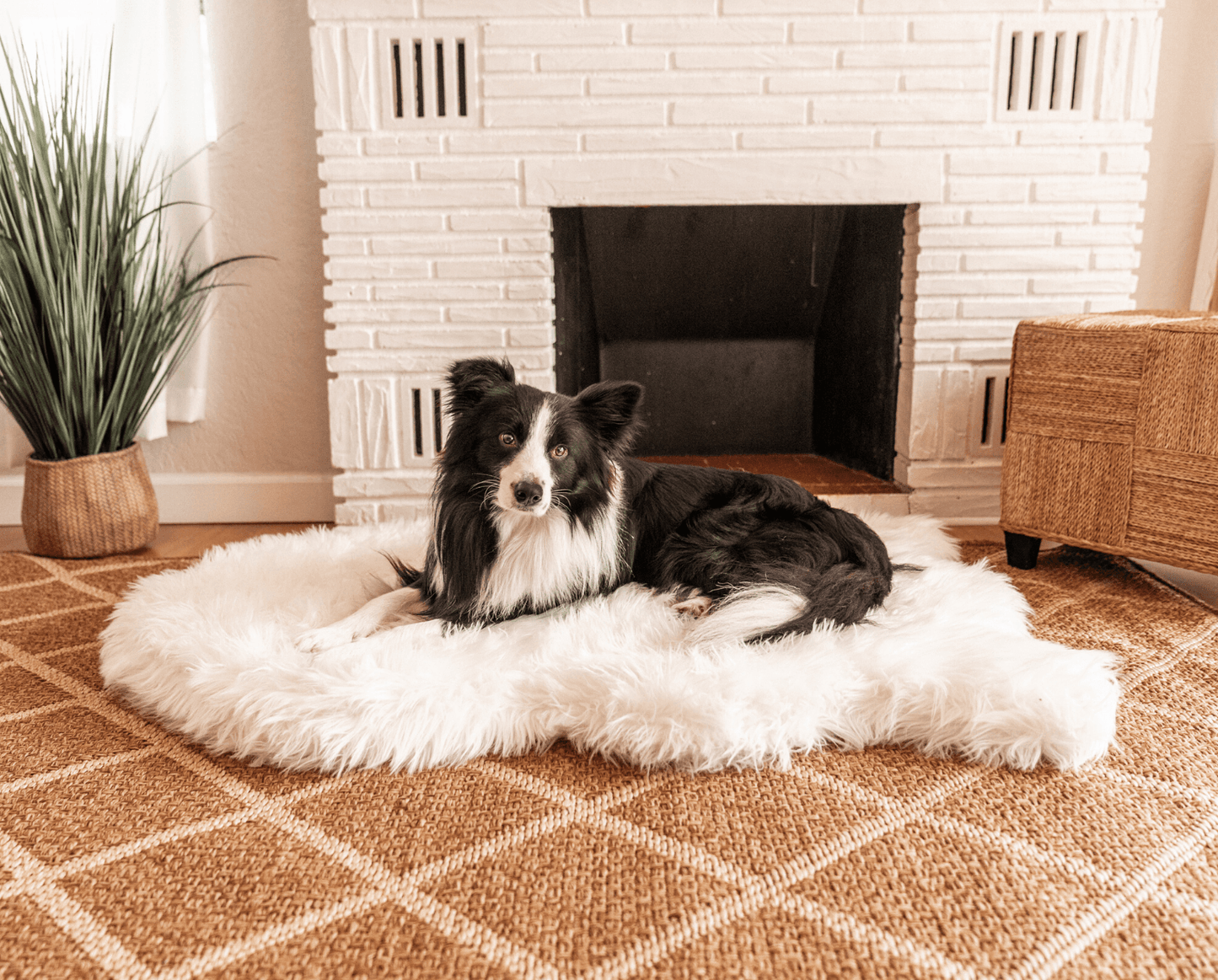 PupRug by Paw.com™ Faux Fur Orthopedic Dog Bed - Curve Polar White - Angler's Pro Tackle & Outdoors