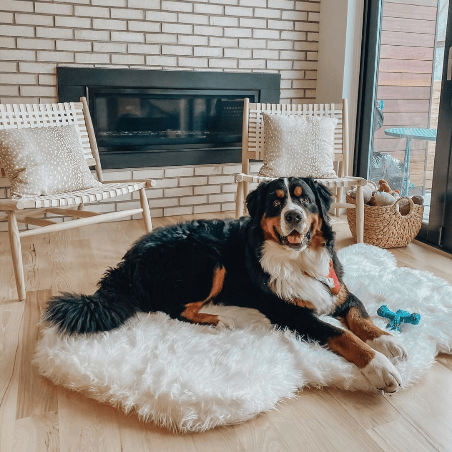 PupRug by Paw.com™ Faux Fur Orthopedic Dog Bed - Curve Polar White - Angler's Pro Tackle & Outdoors