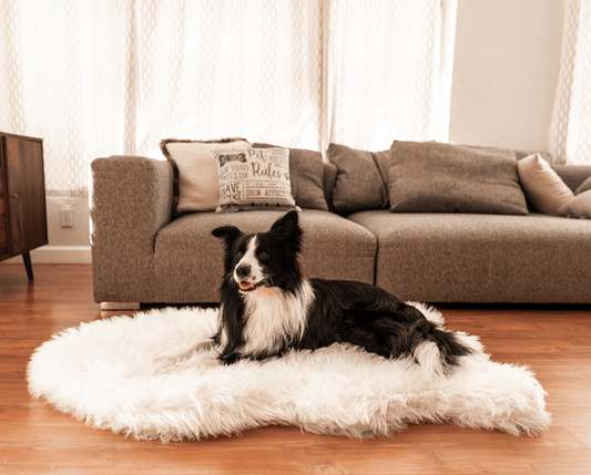 PupRug by Paw.com™ Faux Fur Orthopedic Dog Bed - Curve Polar White - Angler's Pro Tackle & Outdoors