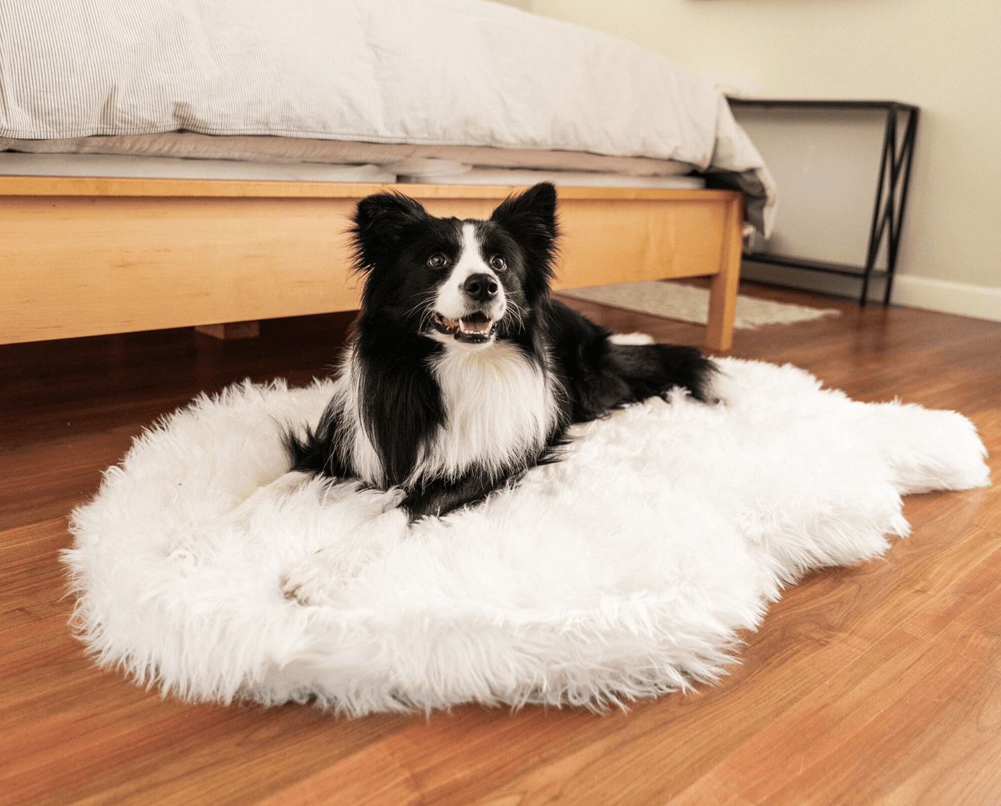 PupRug by Paw.com™ Faux Fur Orthopedic Dog Bed - Curve Polar White - Angler's Pro Tackle & Outdoors