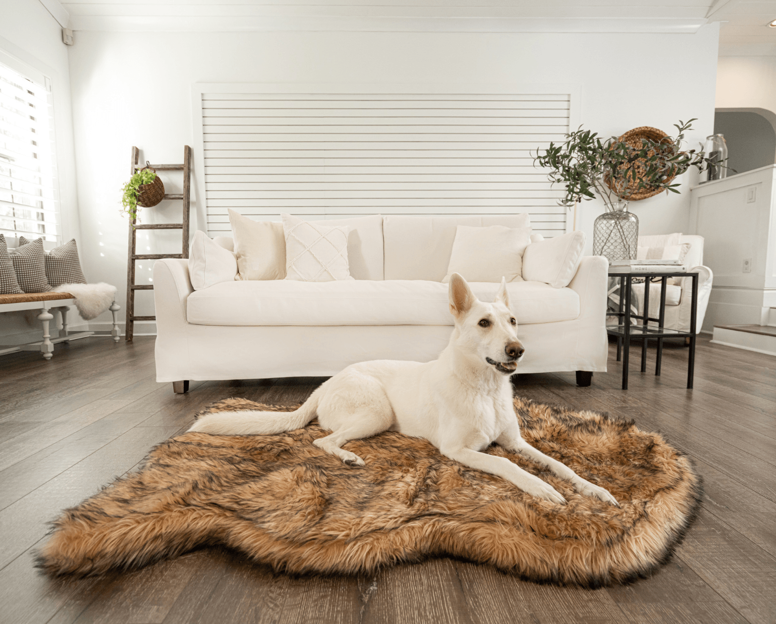 PupRug by Paw.com™ Faux Fur Orthopedic Dog Bed - Curve Sable Tan - Angler's Pro Tackle & Outdoors