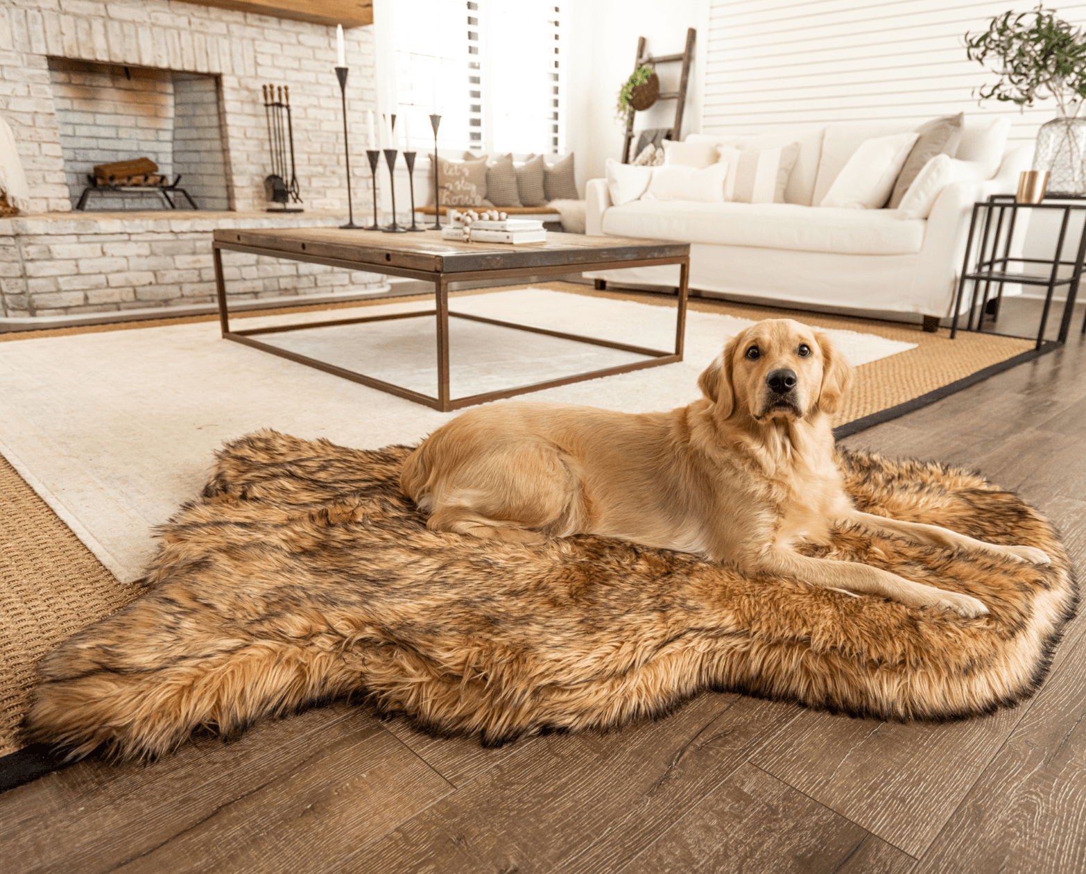 PupRug by Paw.com™ Faux Fur Orthopedic Dog Bed - Curve Sable Tan - Angler's Pro Tackle & Outdoors