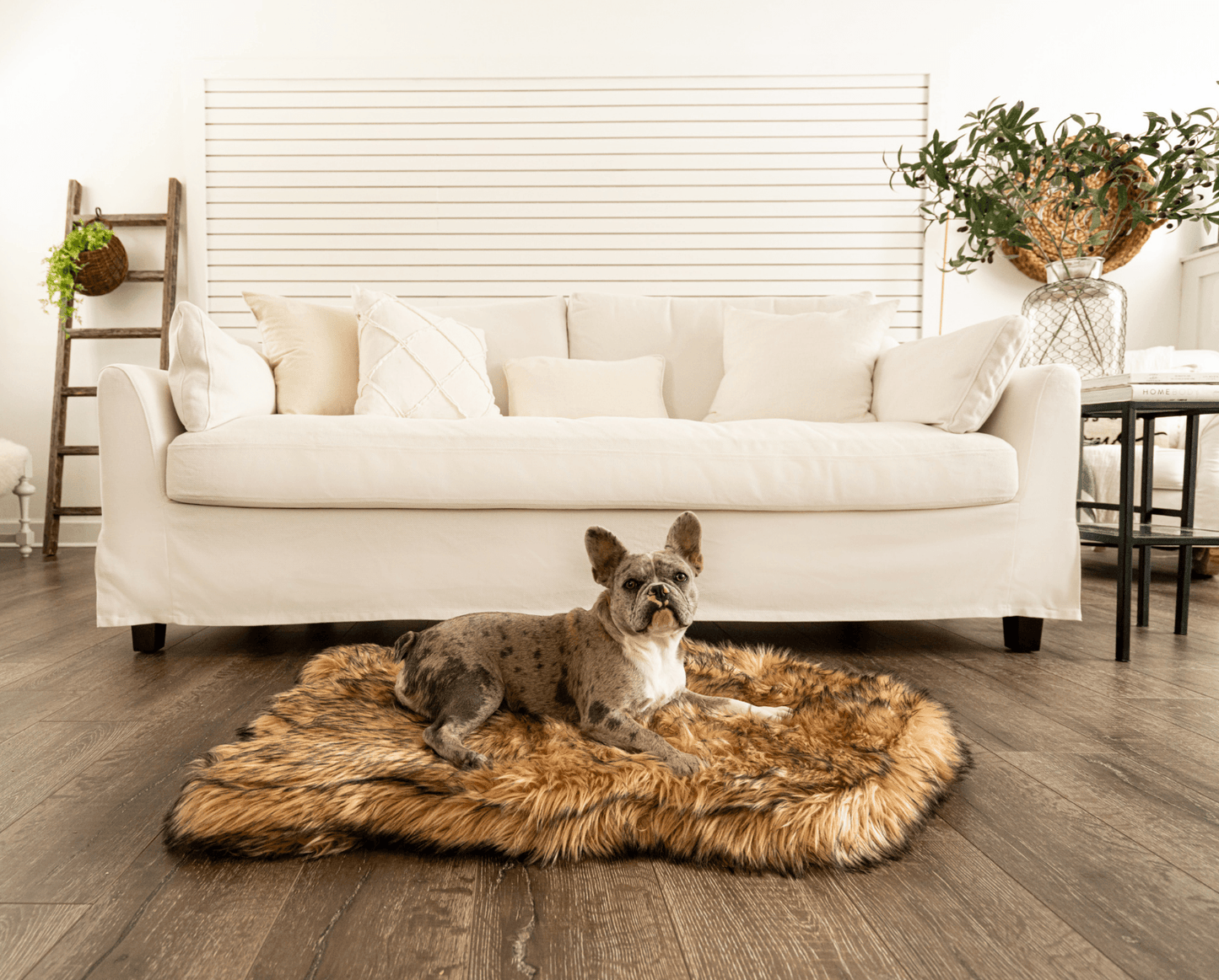 PupRug by Paw.com™ Faux Fur Orthopedic Dog Bed - Curve Sable Tan - Angler's Pro Tackle & Outdoors