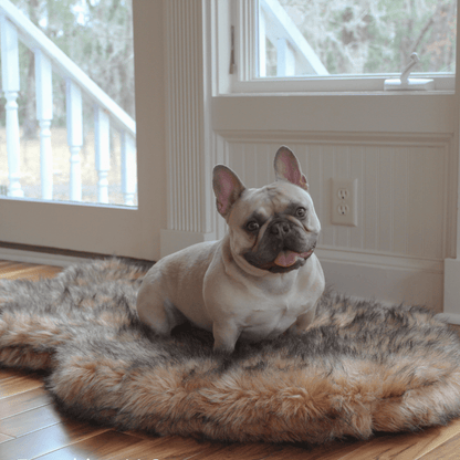 PupRug by Paw.com™ Faux Fur Orthopedic Dog Bed - Curve Sable Tan - Angler's Pro Tackle & Outdoors