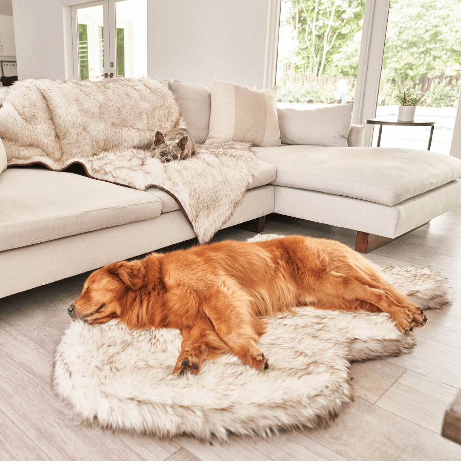 PupRug by Paw.com™ Faux Fur Orthopedic Dog Bed - Curve White with Brown Accents - Angler's Pro Tackle & Outdoors