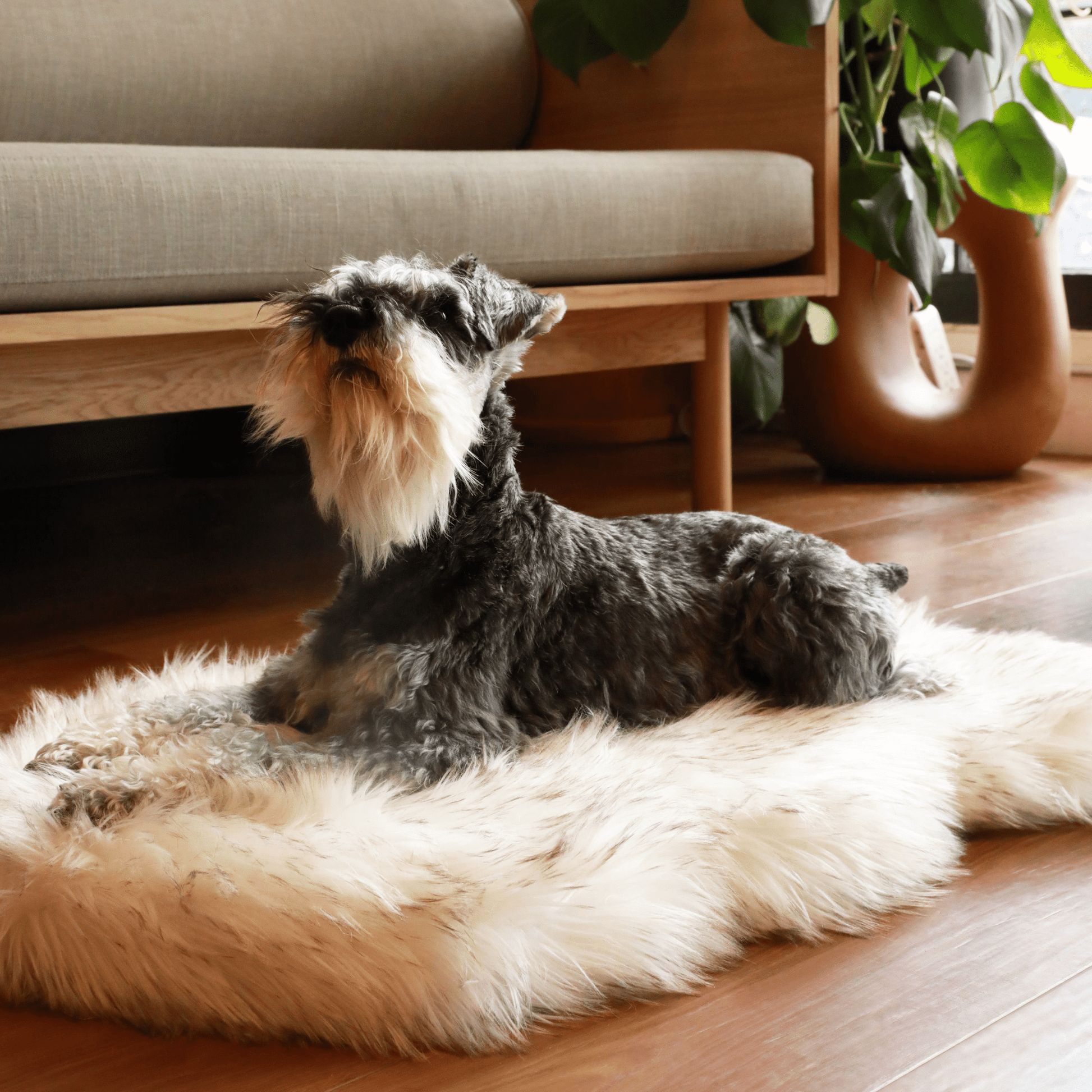 PupRug by Paw.com™ Faux Fur Orthopedic Dog Bed - Curve White with Brown Accents - Angler's Pro Tackle & Outdoors