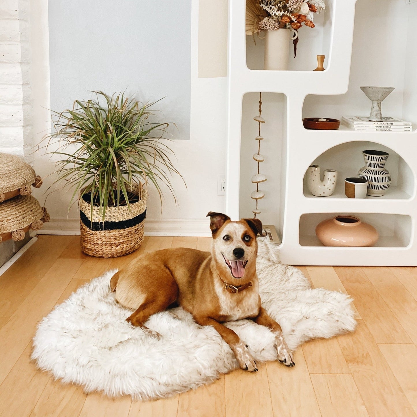 PupRug by Paw.com™ Faux Fur Orthopedic Dog Bed - Curve White with Brown Accents - Angler's Pro Tackle & Outdoors