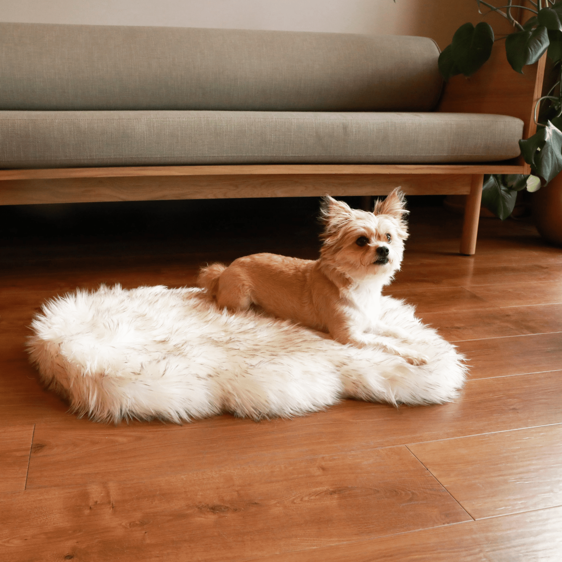 PupRug by Paw.com™ Faux Fur Orthopedic Dog Bed - Curve White with Brown Accents - Angler's Pro Tackle & Outdoors