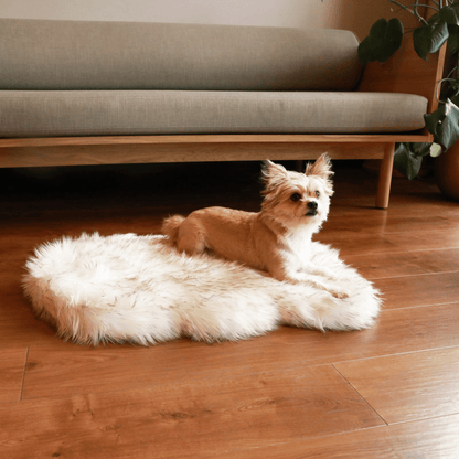 PupRug by Paw.com™ Faux Fur Orthopedic Dog Bed - Curve White with Brown Accents - Angler's Pro Tackle & Outdoors