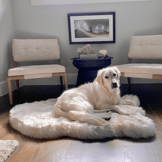 PupRug by Paw.com™ Faux Fur Orthopedic Dog Bed - Curve White with Brown Accents - Angler's Pro Tackle & Outdoors