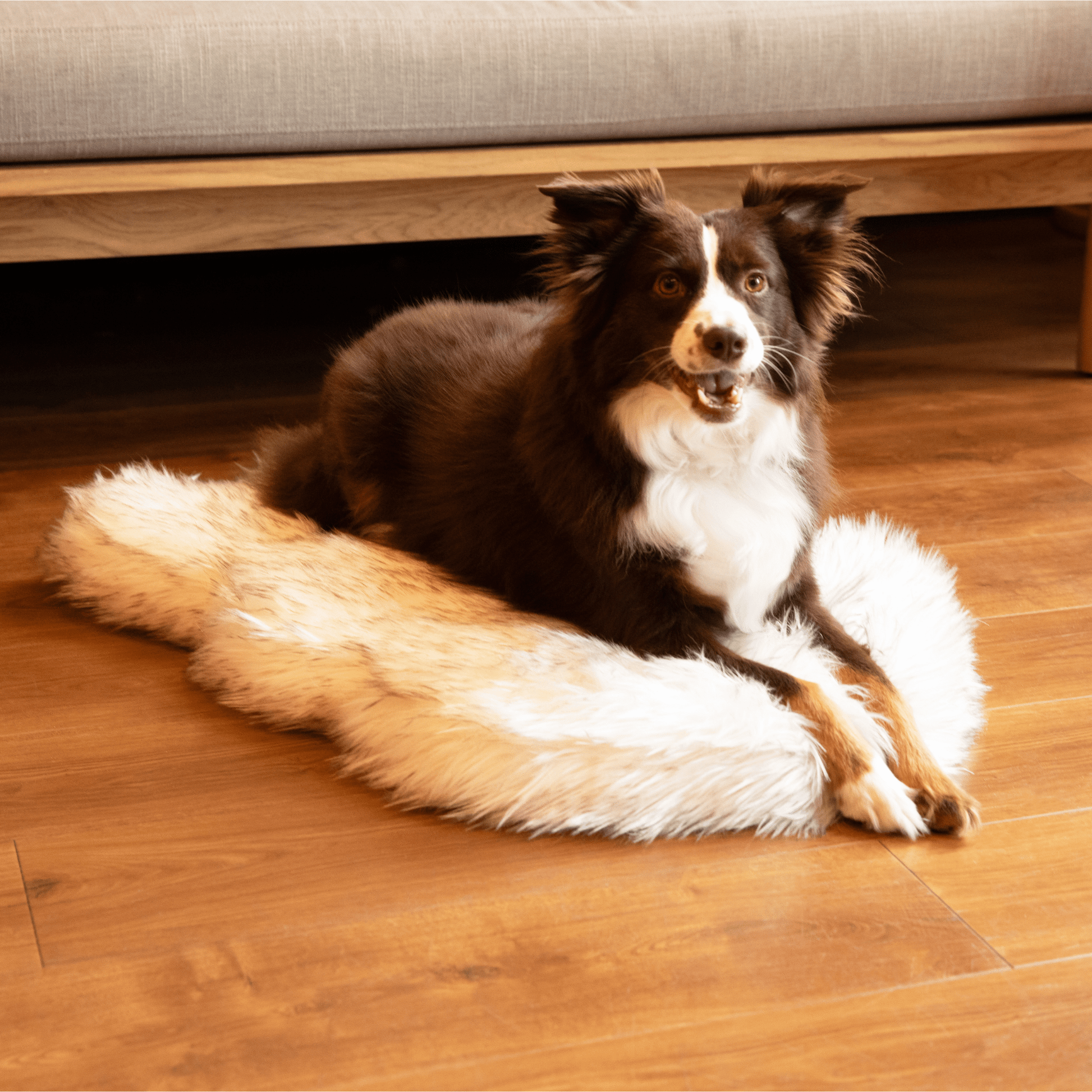 PupRug by Paw.com™ Faux Fur Orthopedic Dog Bed - Curve White with Brown Accents - Angler's Pro Tackle & Outdoors