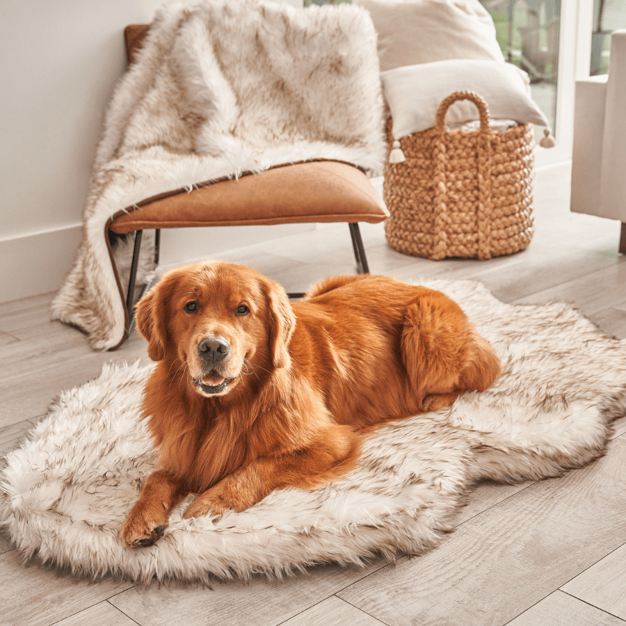 PupRug by Paw.com™ Faux Fur Orthopedic Dog Bed - Curve White with Brown Accents - Angler's Pro Tackle & Outdoors