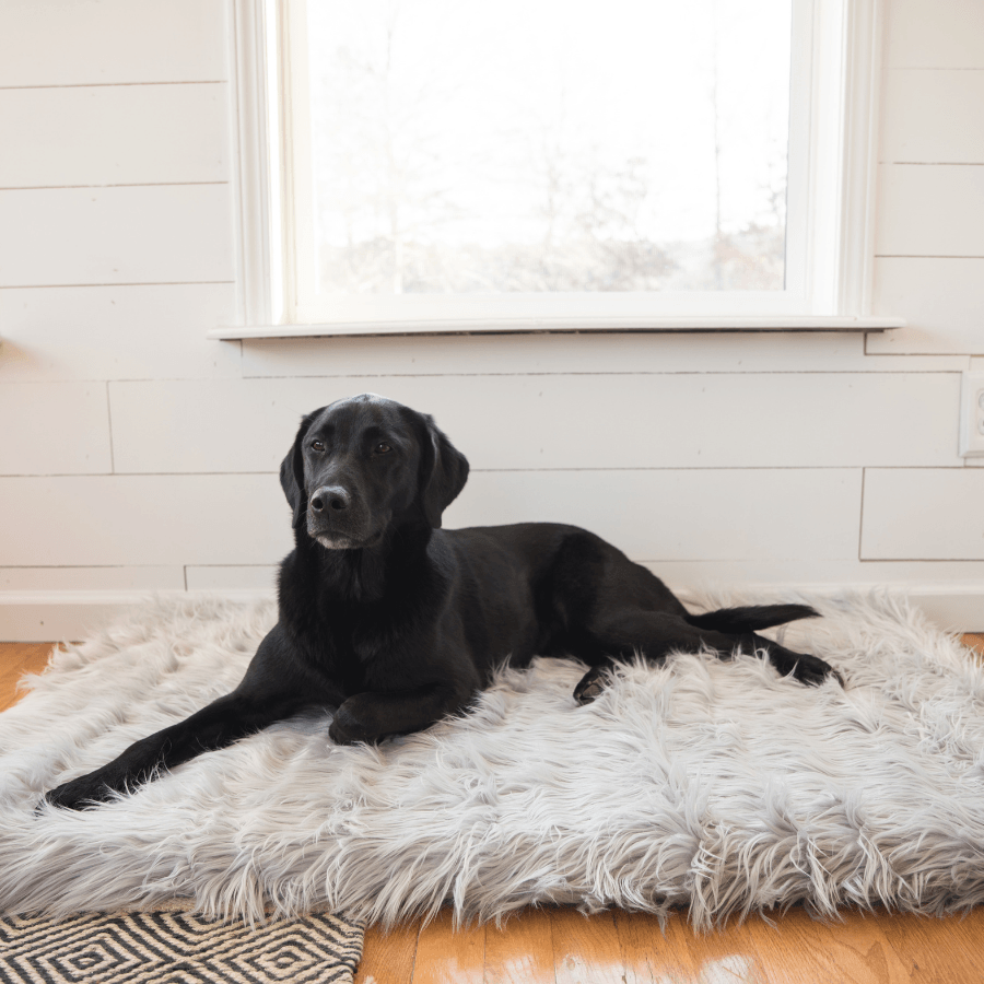 PupRug by Paw.com™ Faux Fur Orthopedic Dog Bed - Rectangle Grey - Angler's Pro Tackle & Outdoors