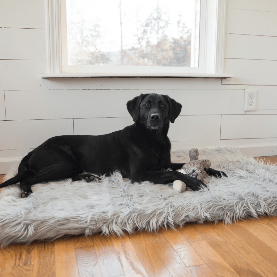 PupRug by Paw.com™ Faux Fur Orthopedic Dog Bed - Rectangle Grey - Angler's Pro Tackle & Outdoors