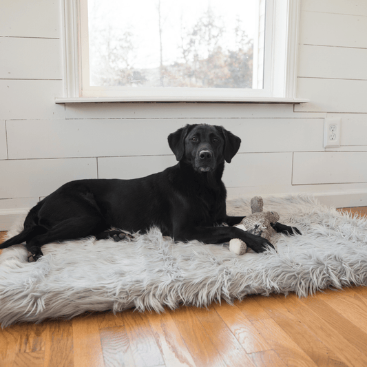 PupRug by Paw.com™ Faux Fur Orthopedic Dog Bed - Rectangle Grey - Angler's Pro Tackle & Outdoors