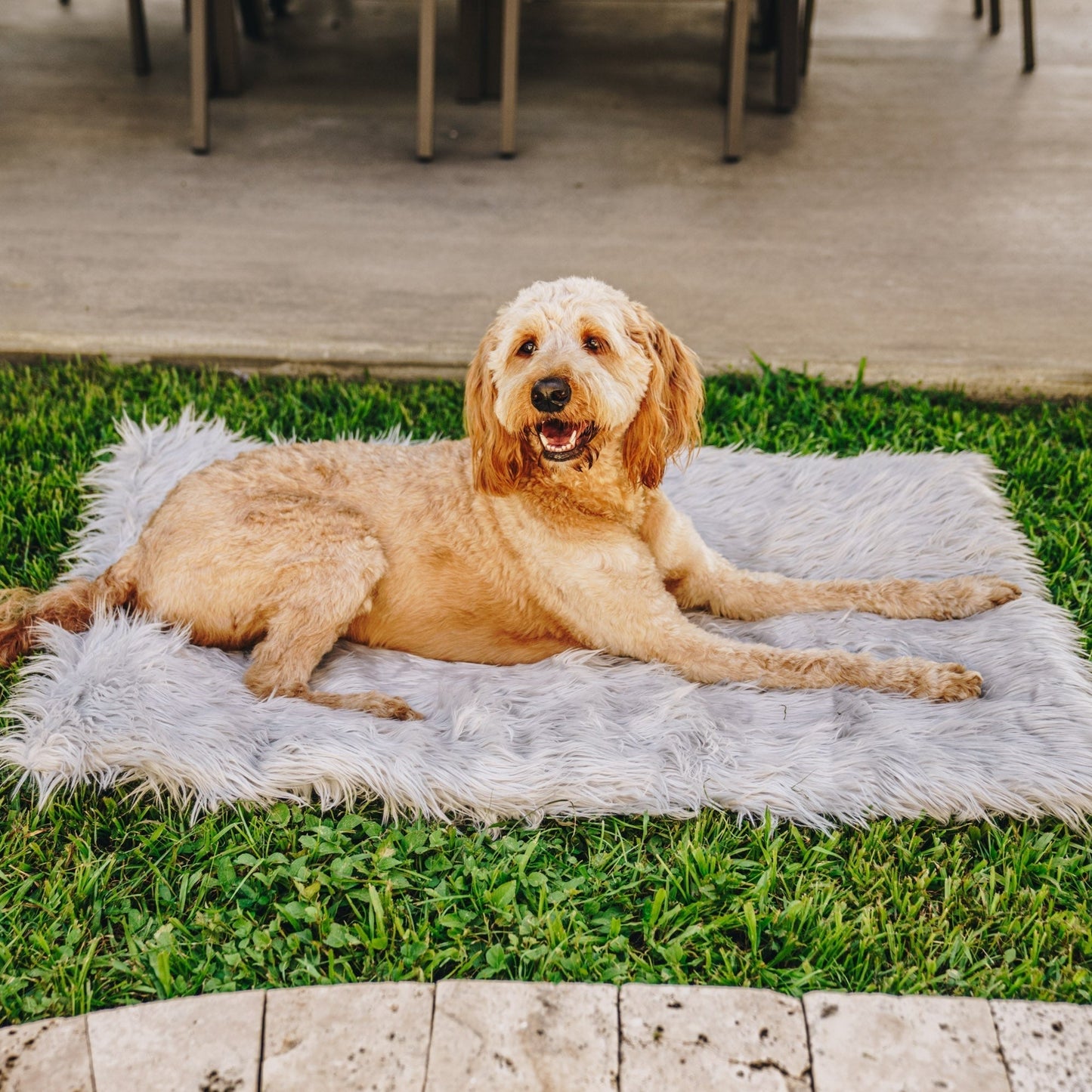 PupRug by Paw.com™ Portable Orthopedic Dog Bed - Grey - Angler's Pro Tackle & Outdoors