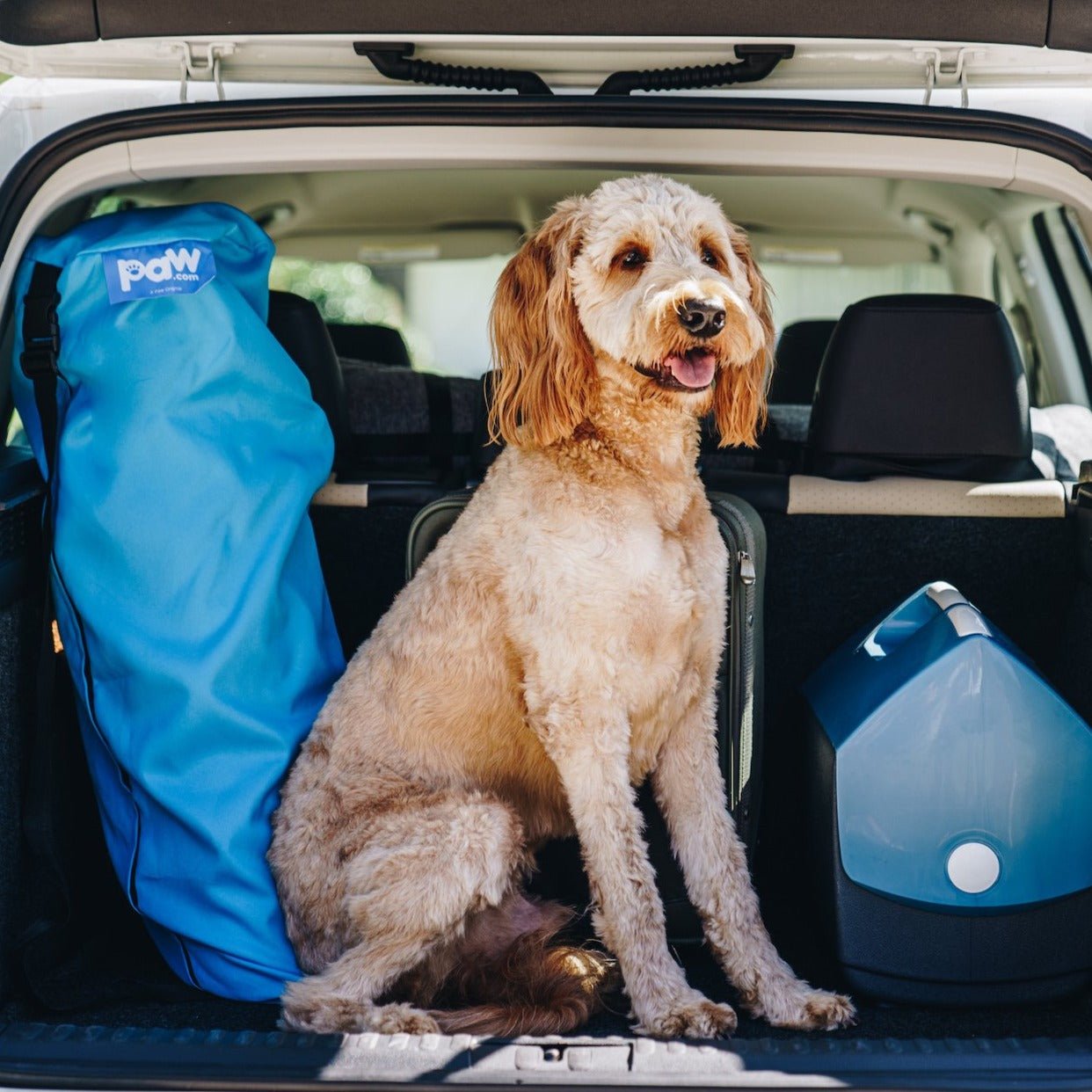 PupRug by Paw.com™ Portable Orthopedic Dog Bed - Grey - Angler's Pro Tackle & Outdoors