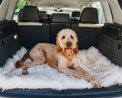 PupRug by Paw.com™ Portable Orthopedic Dog Bed - White with Brown Accents - Angler's Pro Tackle & Outdoors