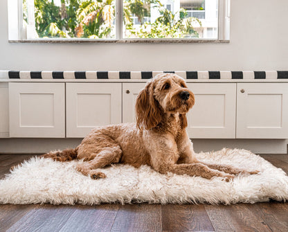 PupRug by Paw.com™ Portable Orthopedic Dog Bed - White with Brown Accents - Angler's Pro Tackle & Outdoors