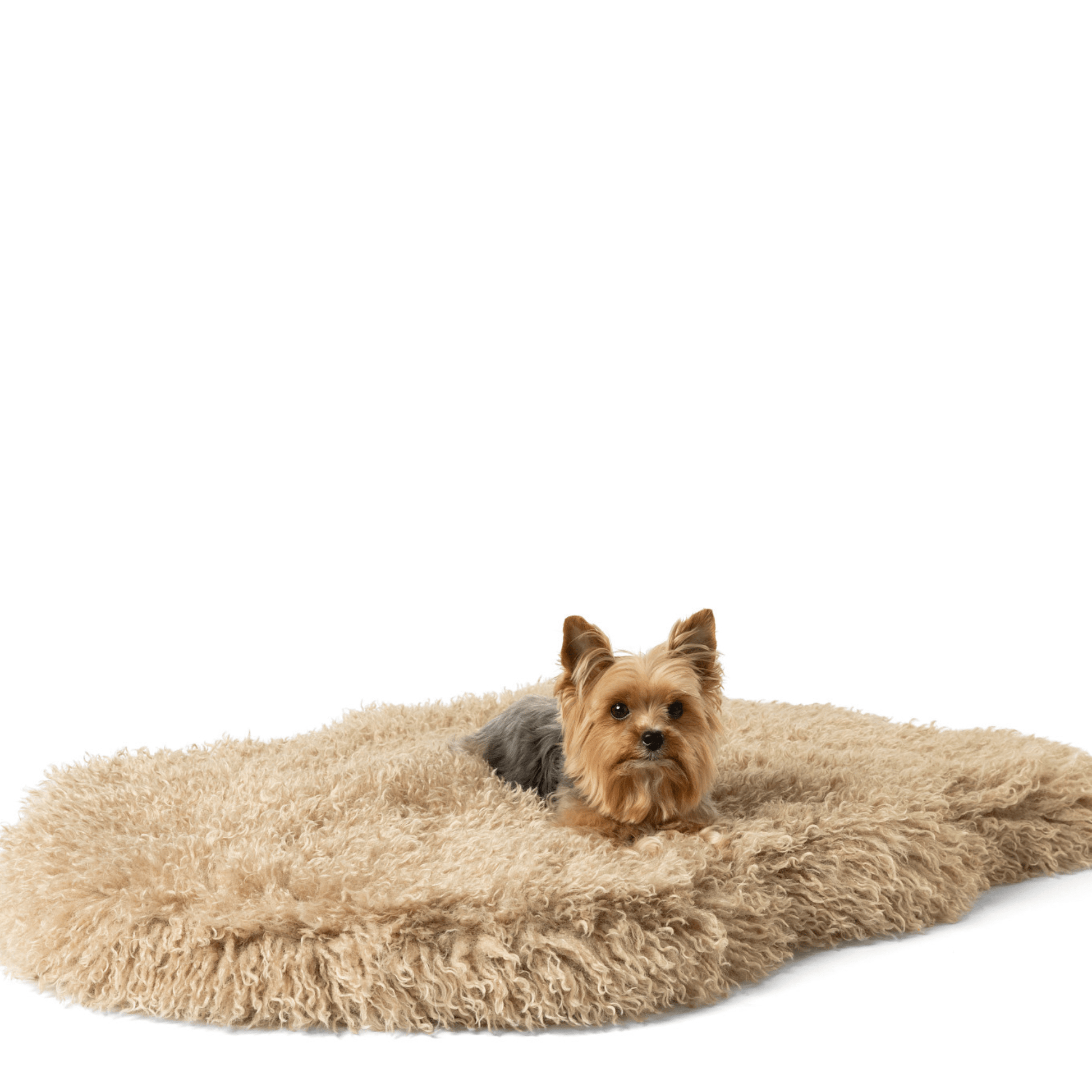 PupRug™ Luxe Faux Fur Orthopedic Dog Bed - Plush Sheep Tan - Angler's Pro Tackle & Outdoors