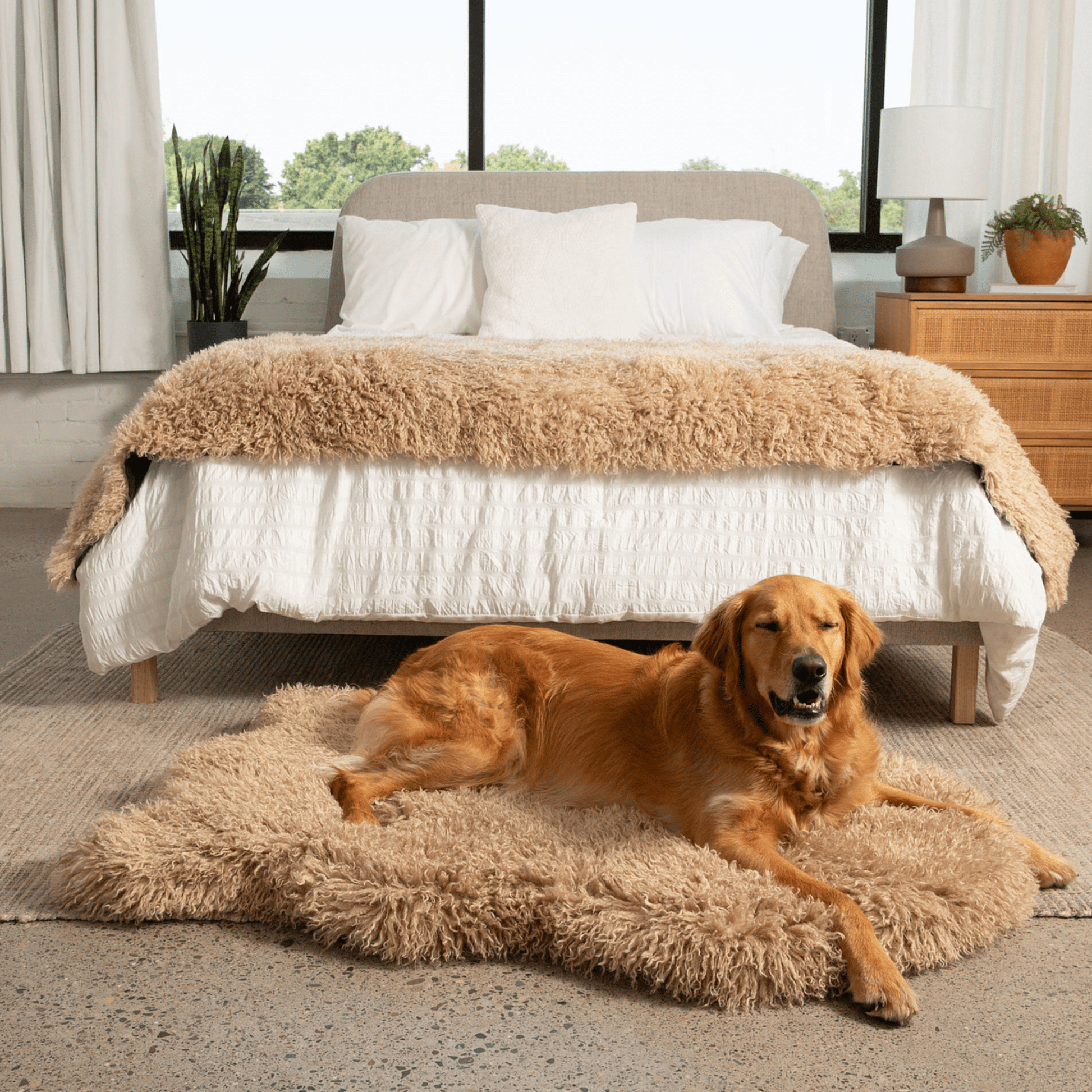 PupRug™ Luxe Faux Fur Orthopedic Dog Bed - Plush Sheep Tan - Angler's Pro Tackle & Outdoors