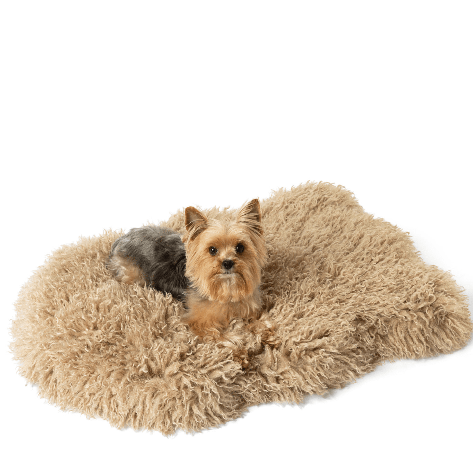 PupRug™ Luxe Faux Fur Orthopedic Dog Bed - Plush Sheep Tan - Angler's Pro Tackle & Outdoors