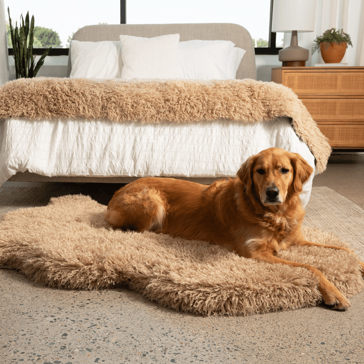 PupRug™ Luxe Faux Fur Orthopedic Dog Bed - Plush Sheep Tan - Angler's Pro Tackle & Outdoors