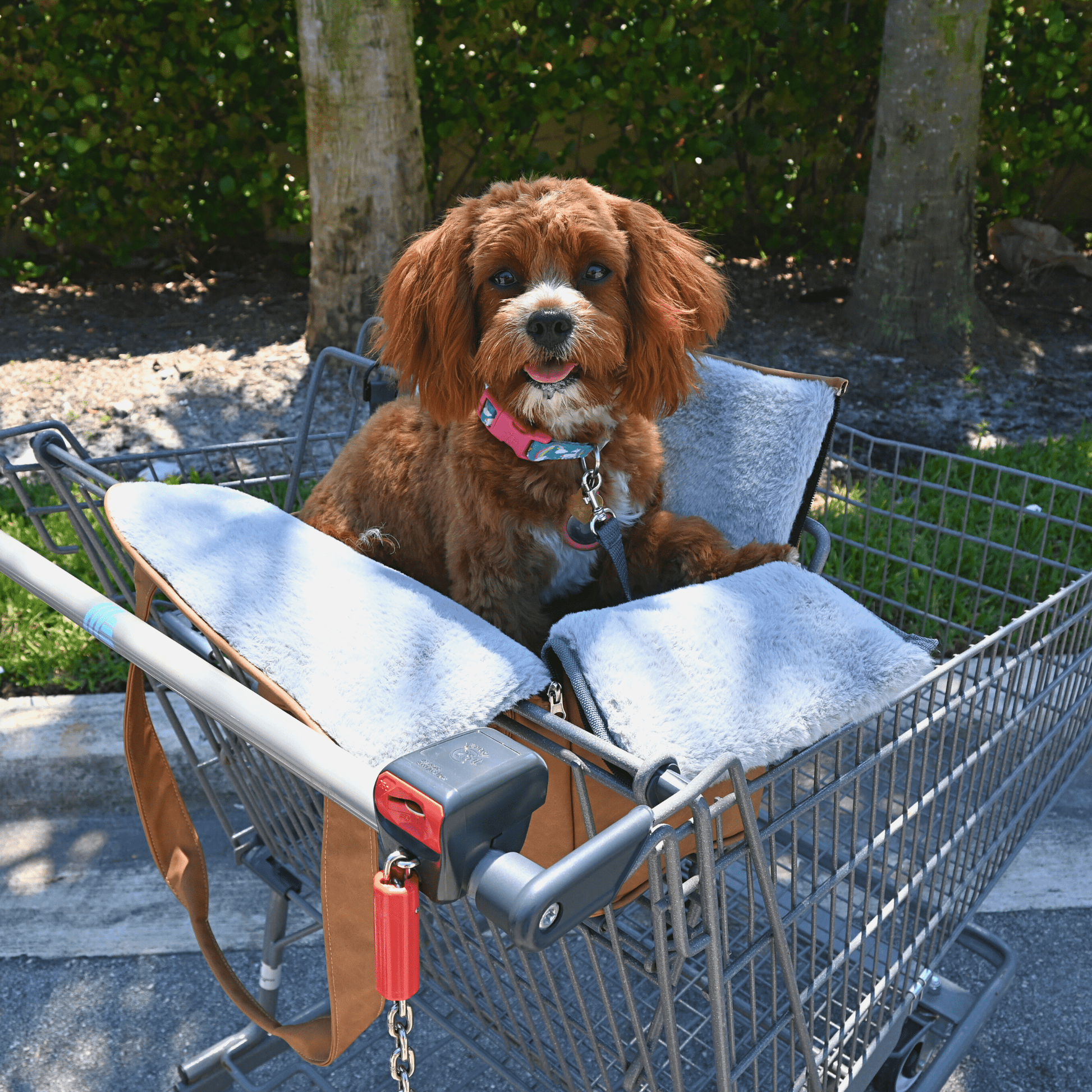 PupTote™ 3 - in - 1 Faux Leather Dog Carrier Bag - Black - Angler's Pro Tackle & Outdoors