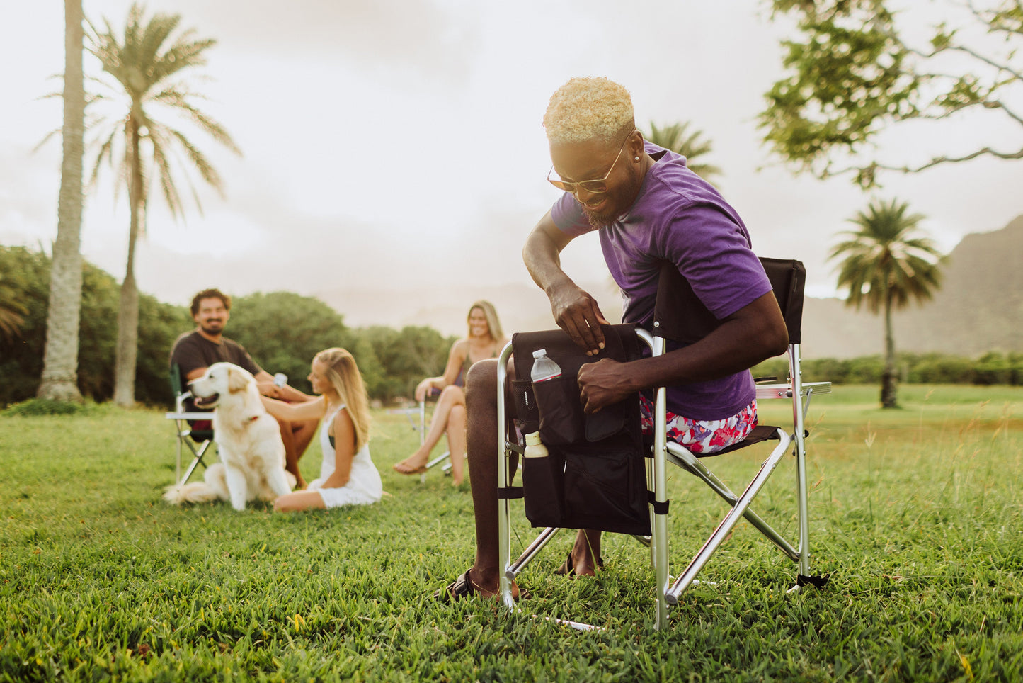 Picnic Time Sports Chair